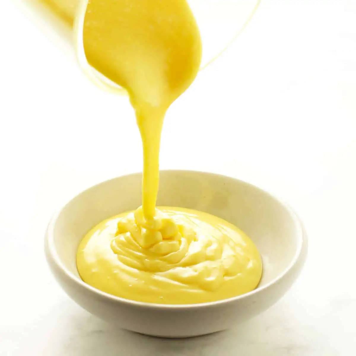 Blender Hollandaise