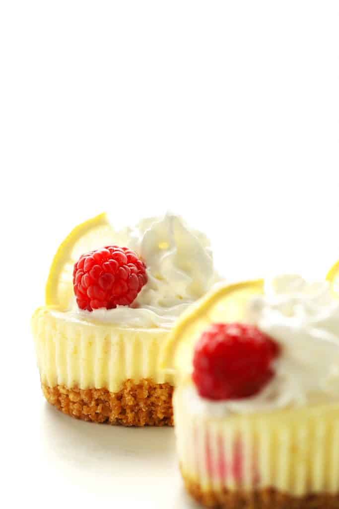 Mini cheesecake with a raspberry and lemon slice. 