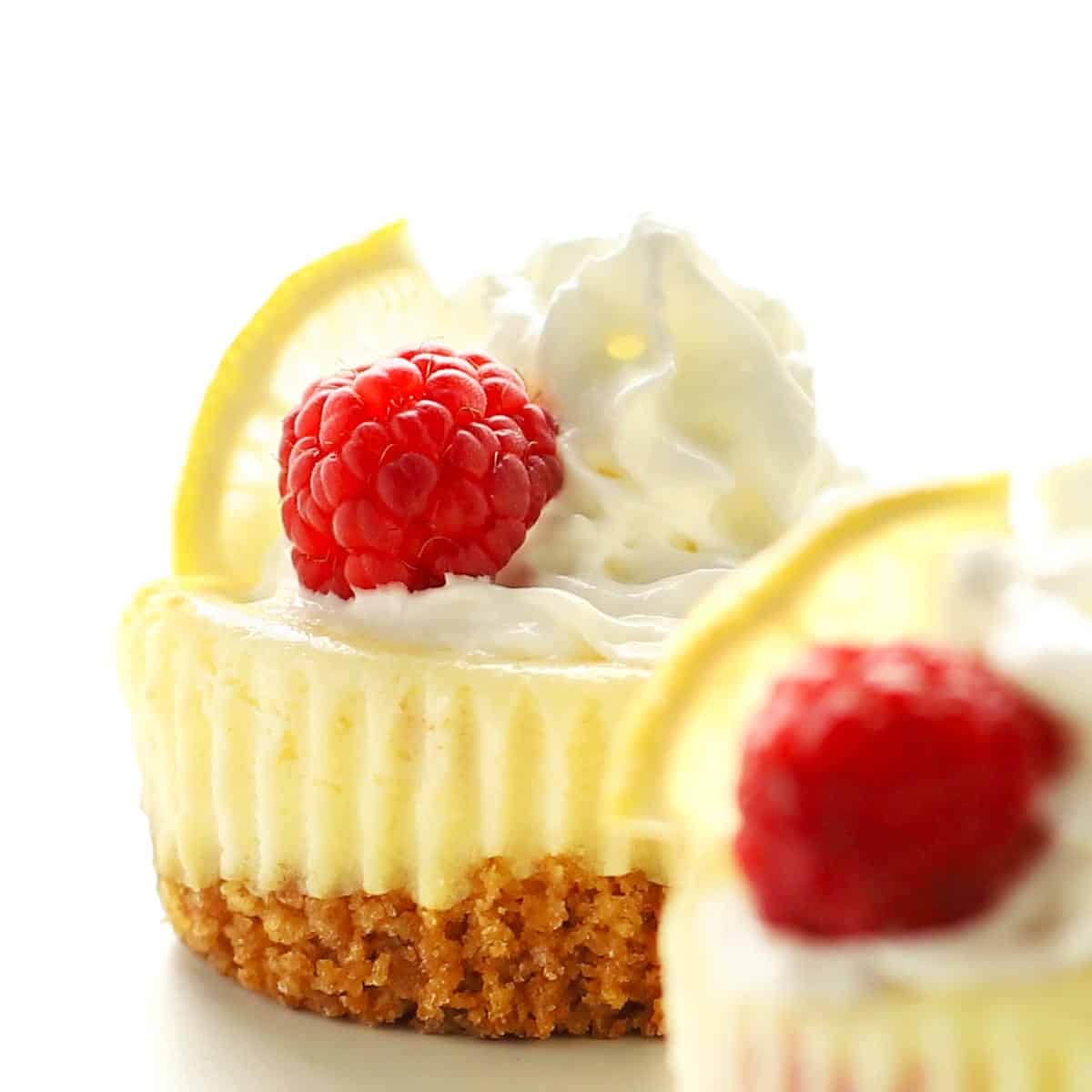Raspberry Lemon Mini Cheesecakes