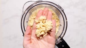 Cookie dough after incorporating butter into dry ingredients.