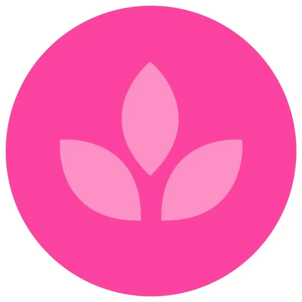 A pink leaf icon.