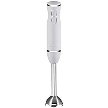 Immersion Blender